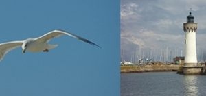 Ecole d’été de mécanique théorique 2026